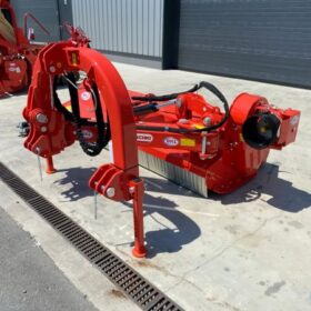 images_1660118956110