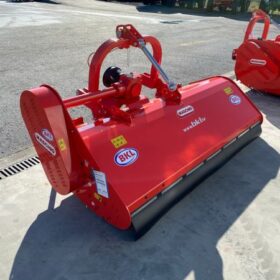images_1700480460709